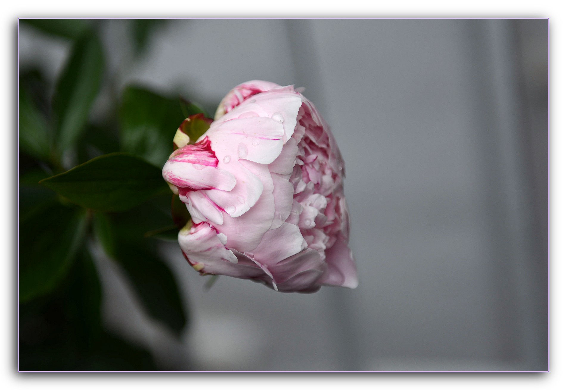 DSC_4089.jpg