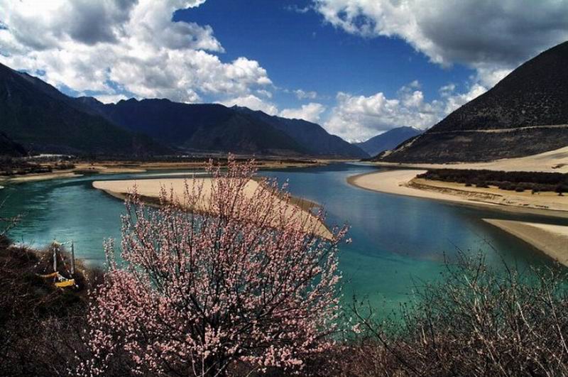 DSC_1943.jpg