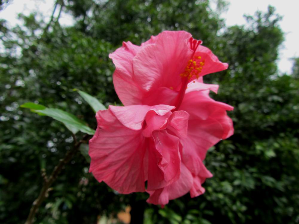 IMG_5273.JPG