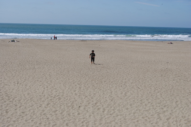 DSC_7914.JPG