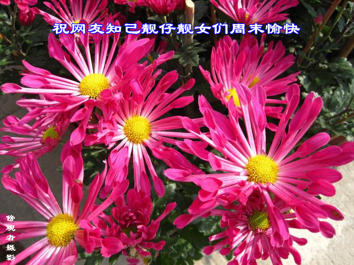IMG_2741.jpg