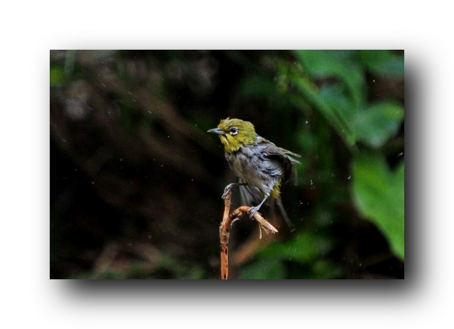 ��Ƭ 6646311.jpg