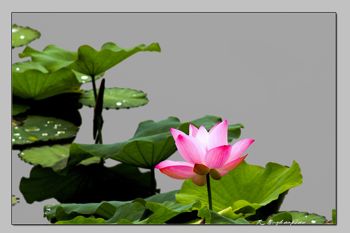 �ĺ� (344)����-1.jpg