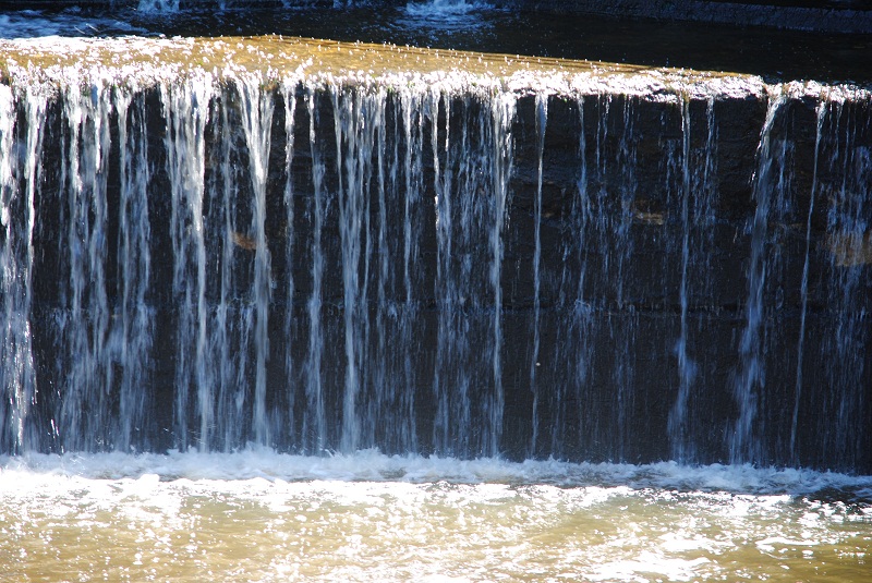 DSC_0488.JPG
