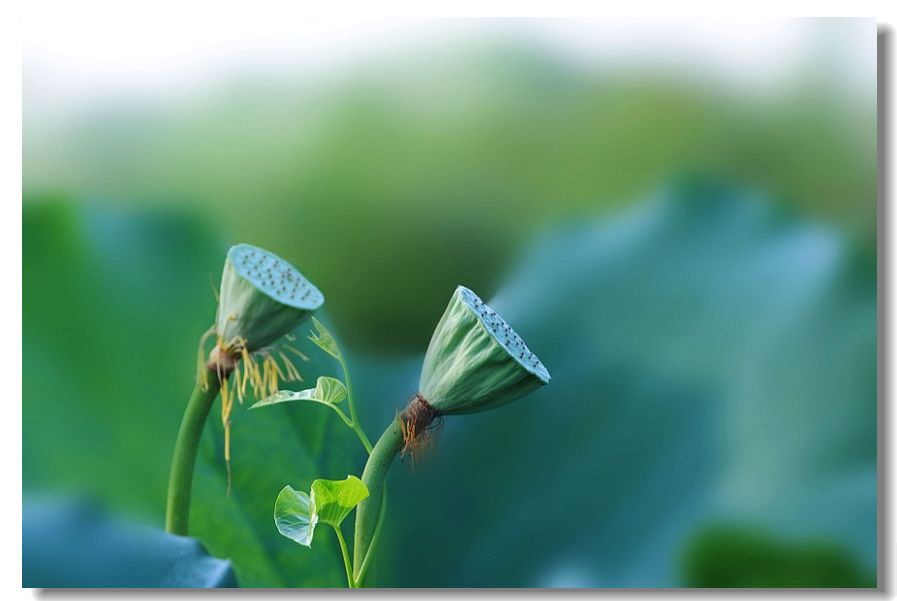 ������ 021����.jpg