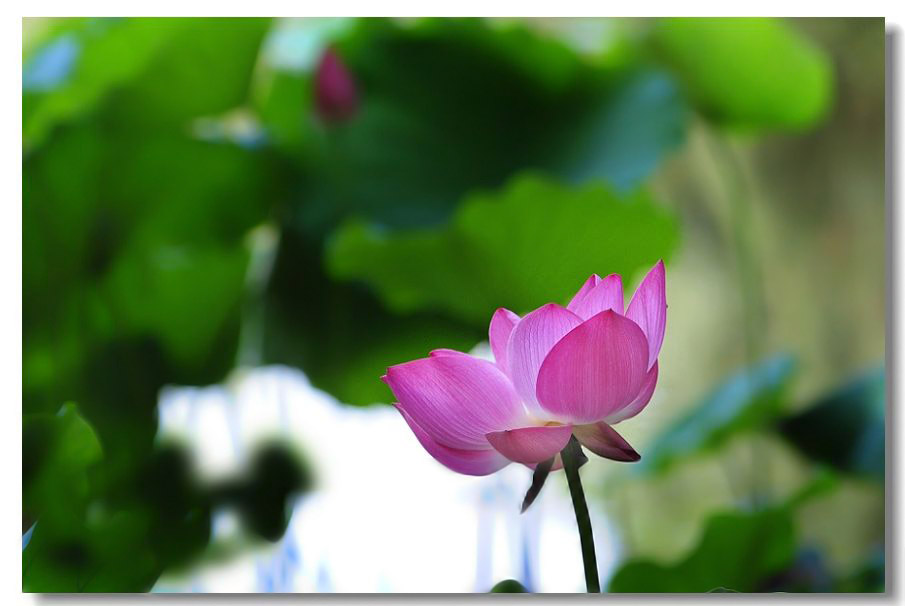 ������3 069.jpg