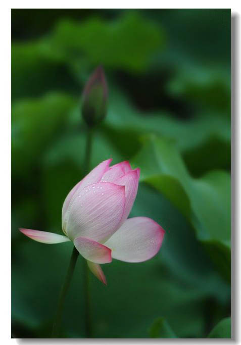 13��ɻ� 078.jpg