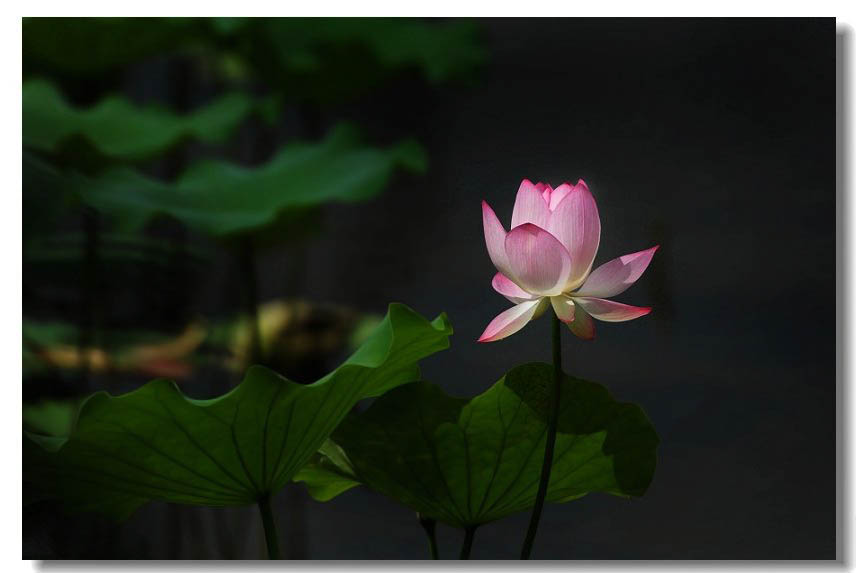 13��ɻ� 007(1).jpg