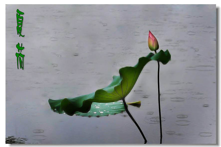 2�ɻ� 053_conew1.jpg