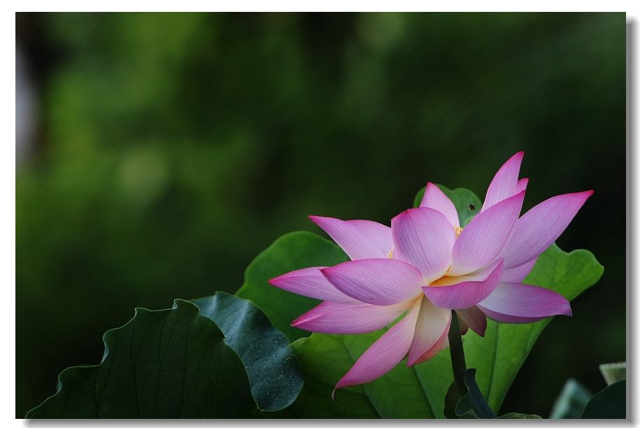 ������ 016.jpg