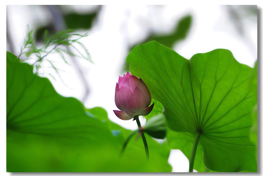 ������3 045.jpg