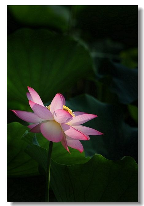 ������ 029.jpg