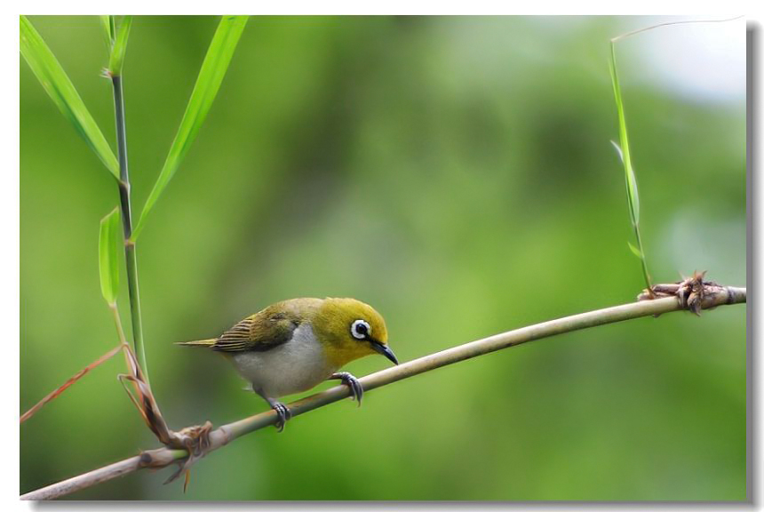 һ������ȸ3 385(2).jpg