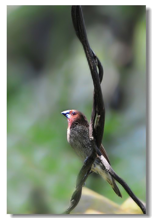 һ������ȸ3 298.jpg