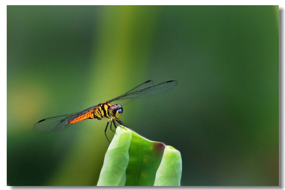 ������1 042(1).jpg