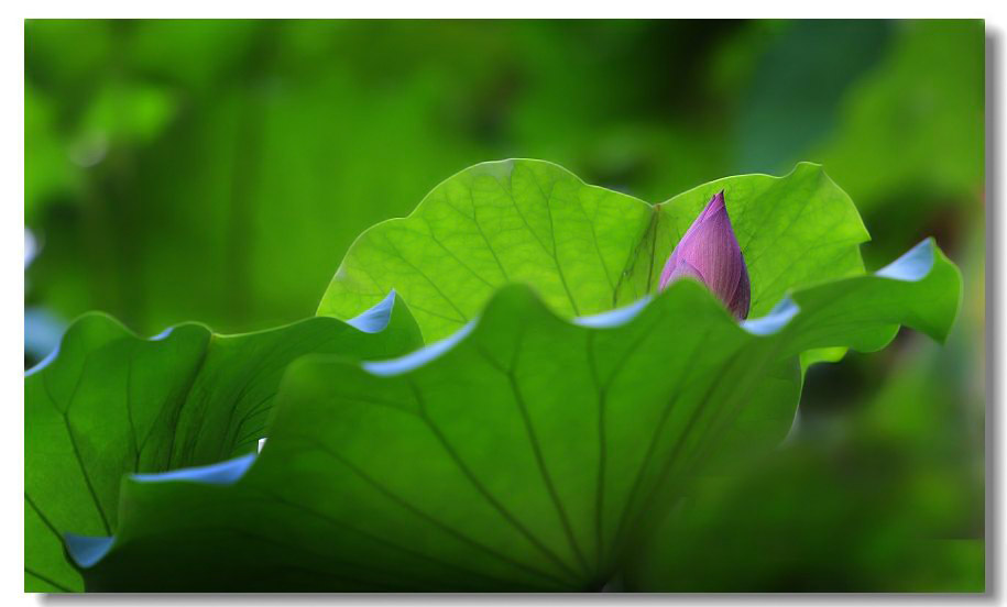 ������3 050.jpg