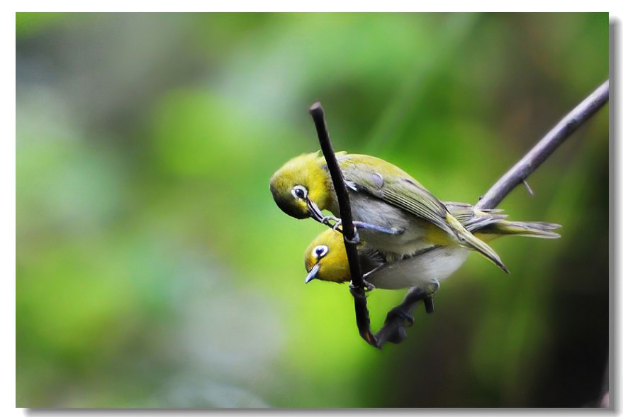 һ������ȸ3 440.jpg