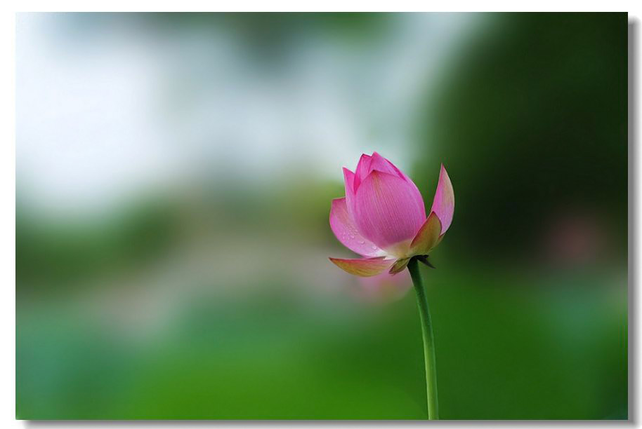 ������1 034����.jpg