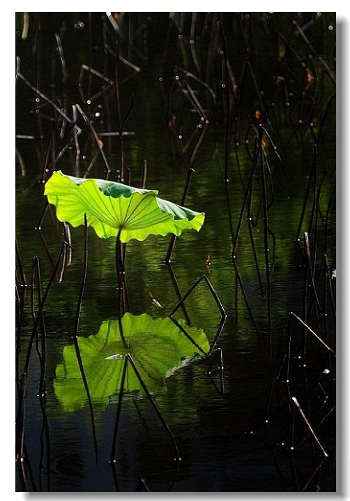 ������3 089.jpg