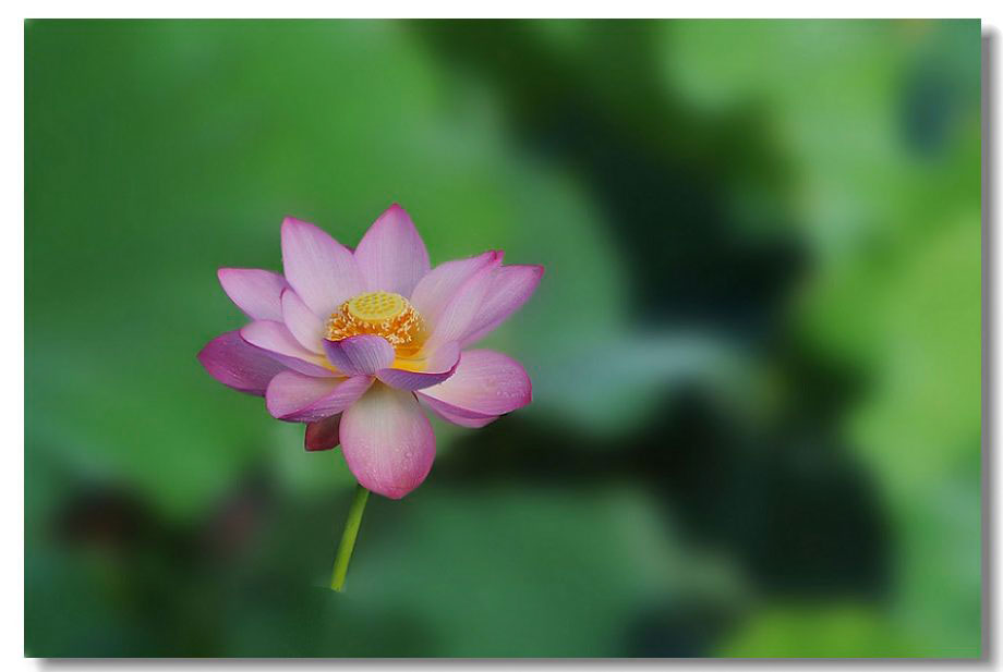 ������1 007����.jpg