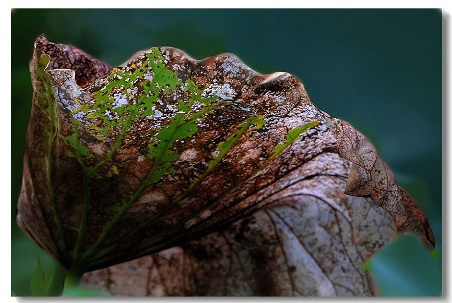 ������1 026����.jpg