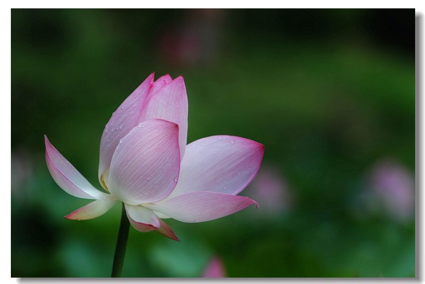 13��ɻ� 095.jpg