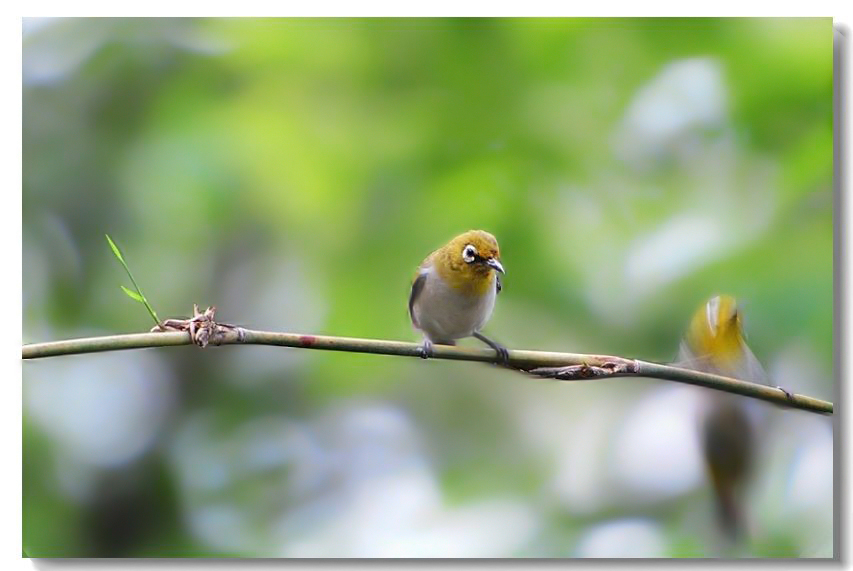 һ����ȸ 248.jpg