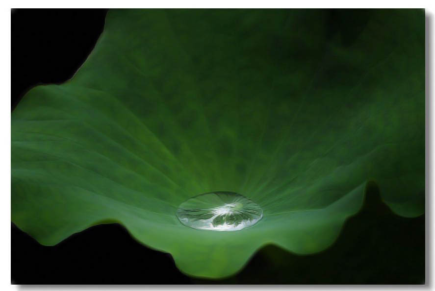 13��ɻ� 081.jpg