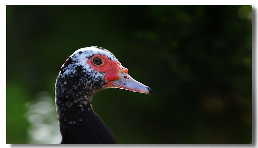 ������ 039(1).jpg