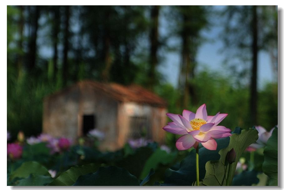 ������ 027.jpg