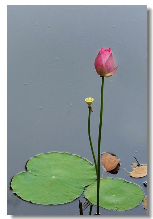 ������3 085(1).jpg