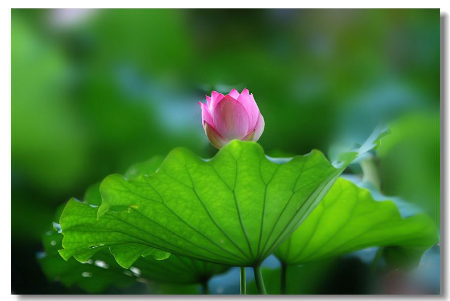 ������ 037����(1).jpg