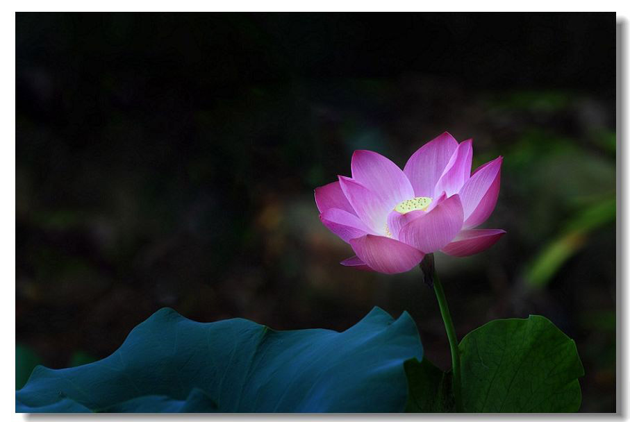 ������3 082.jpg