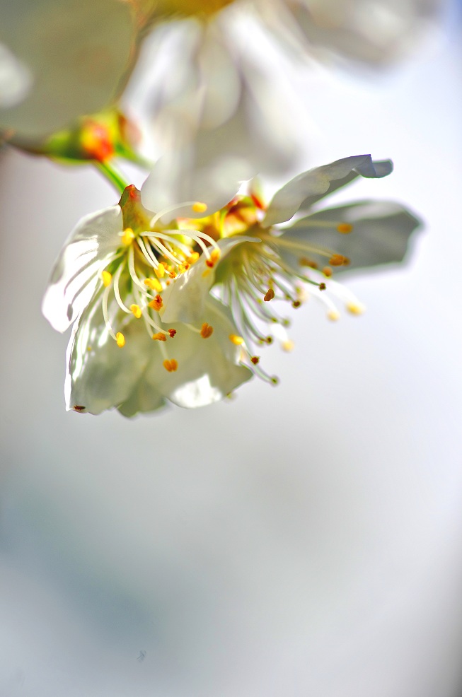 IMGP3813.f.jpg