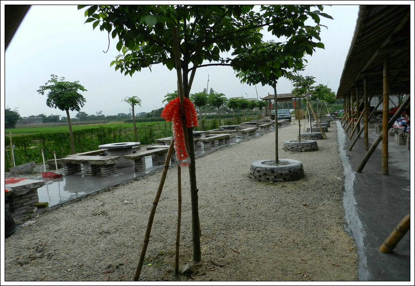 DSCN4374.JPG