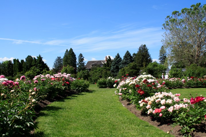 _MG_8042 (Small).JPG