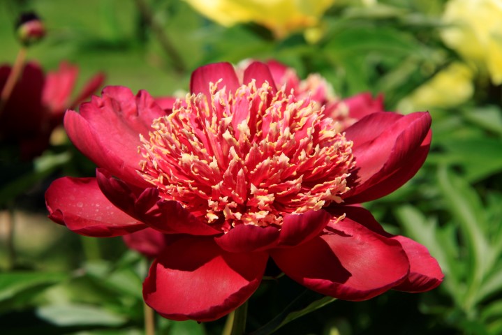 _MG_8058 (Small).JPG