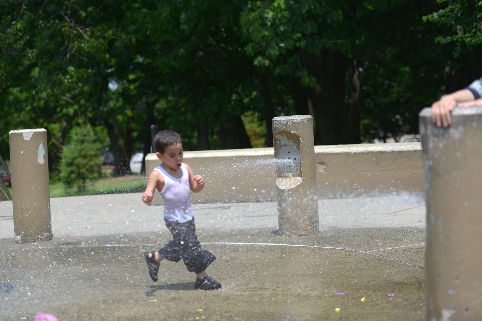 DSC_5684.jpg