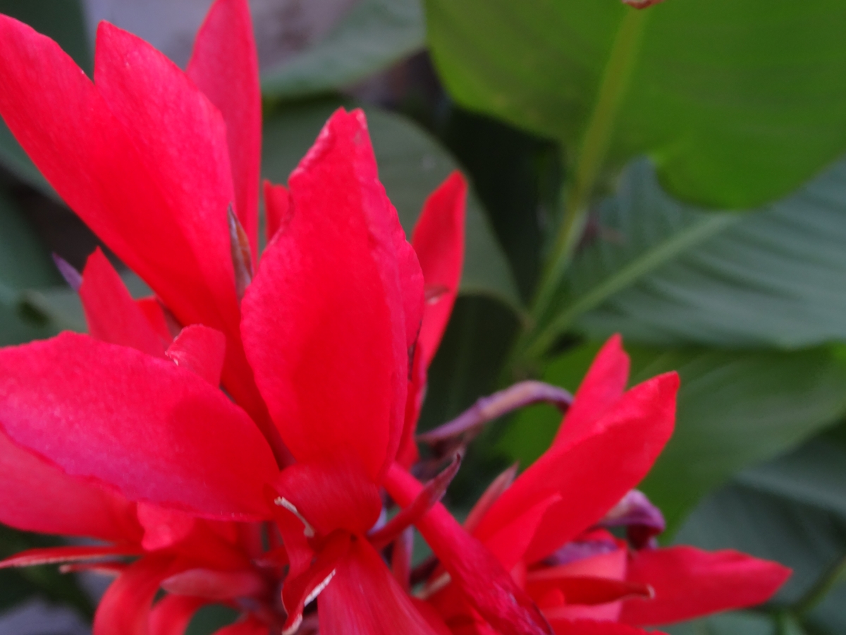 DSC00122.JPG