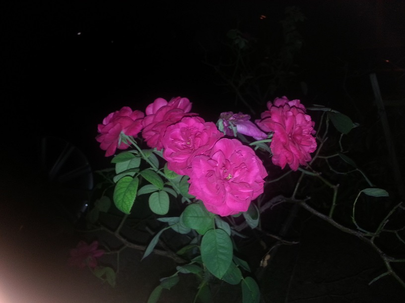 20130718_223607.jpg