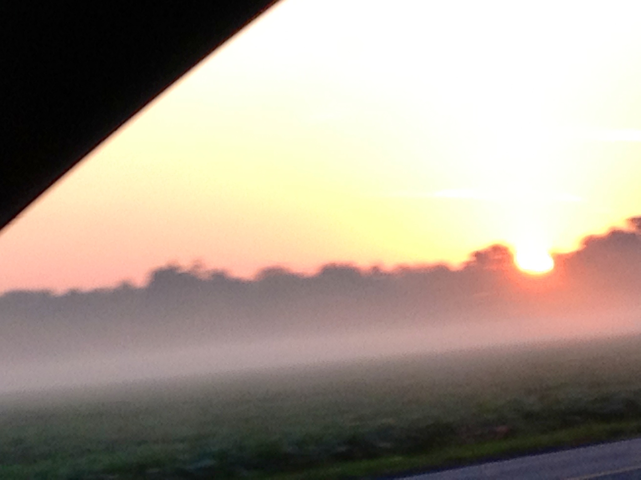 foggy4.jpg