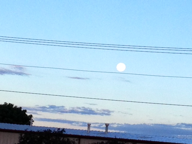 moon.jpg
