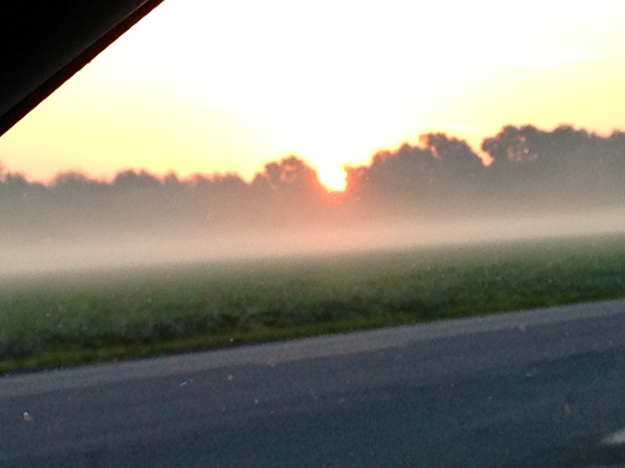 foggy2.jpg