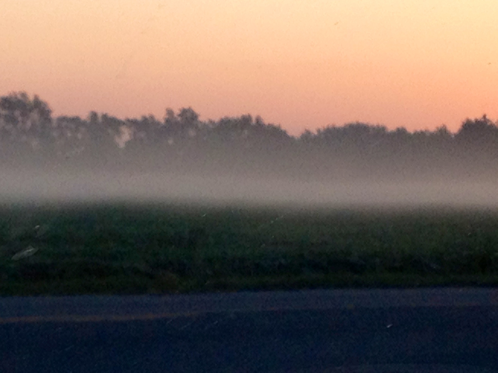 foggy3.jpg