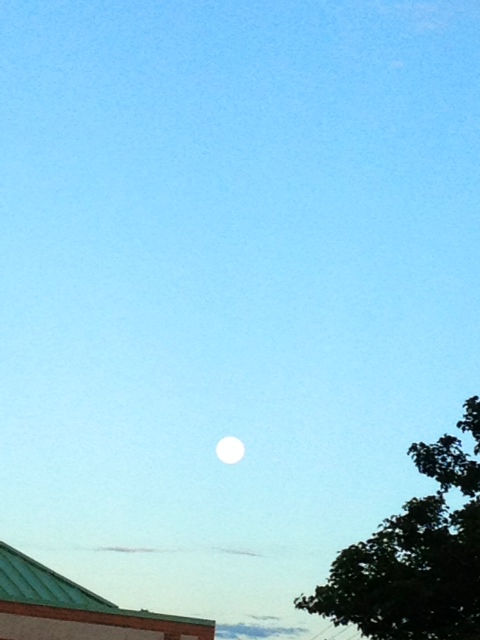 moon1.jpg