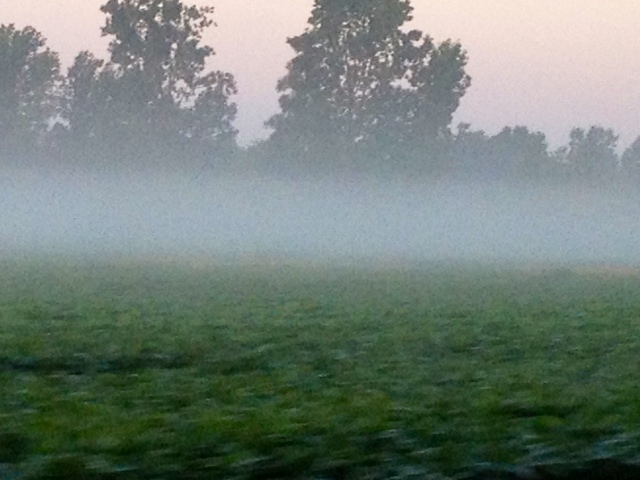 foggy.jpg