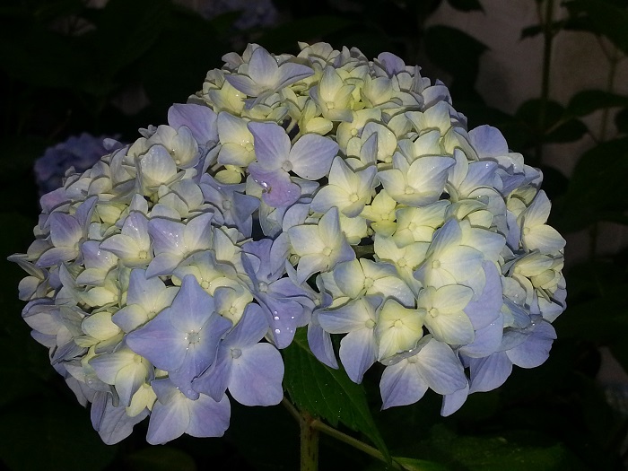 20130627_075837.jpg