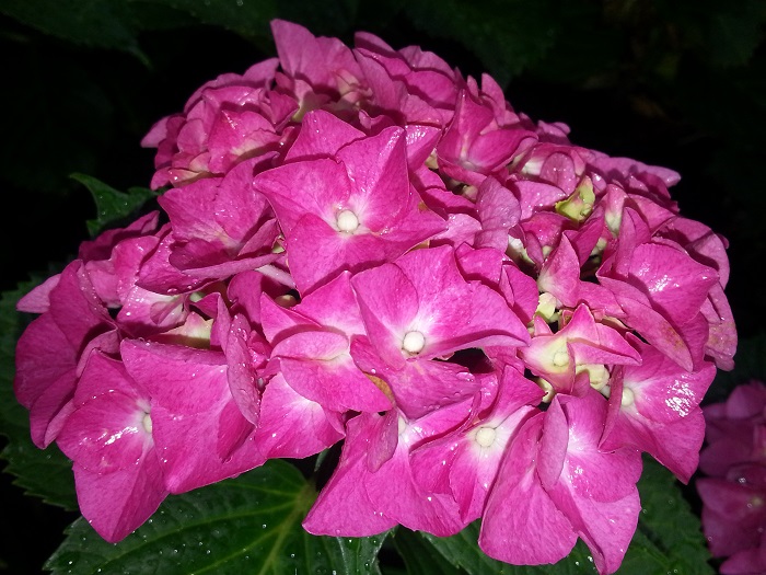 20130627_075719.jpg