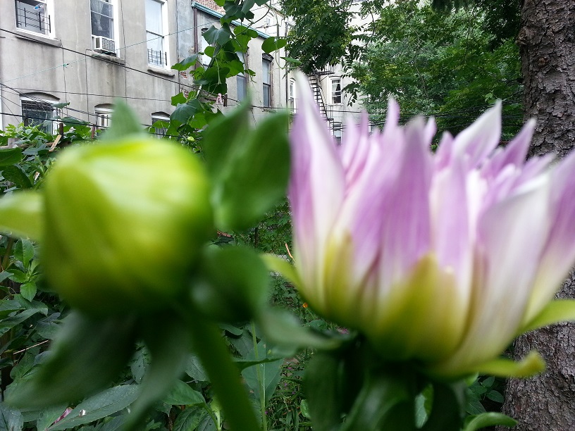 20130712_090954.jpg