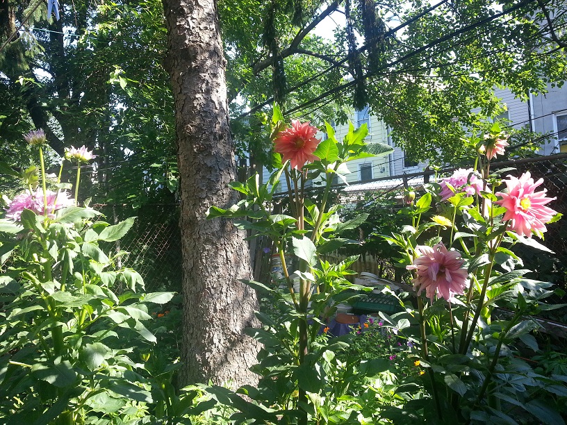 20130716_090750_1.jpg